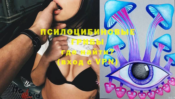 не бодяженный Нефтекумск