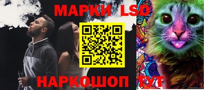шишки Славгород