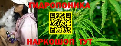 шишки Славгород