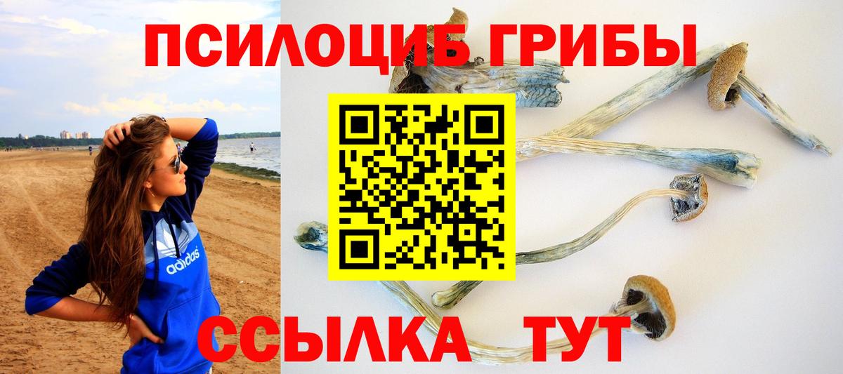 Галлюциногенные грибы MAGIC MUSHROOMS  Вход с VPN  Обнинск 